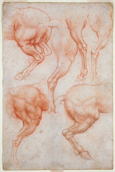 Studien der Hinterbeine des Pferdes, ca. 1508 von Leonardo da Vinci